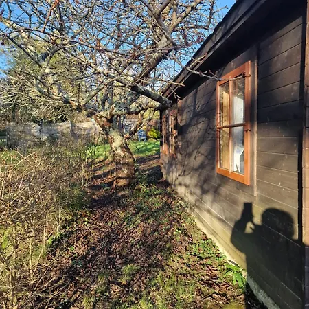 Cherry Orchard Retreat Chideock Exterior photo